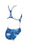 Traje de baño Evolution One Piece